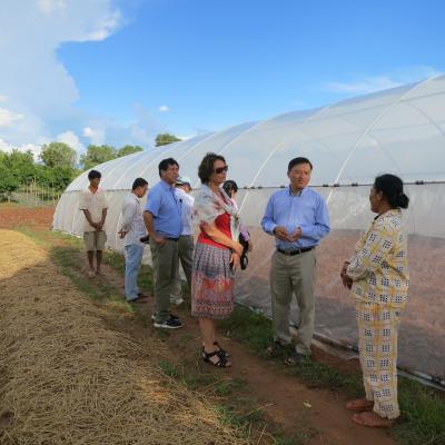 Round Year vegetables production in Plastic Net 